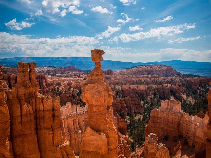 android screenshot 2