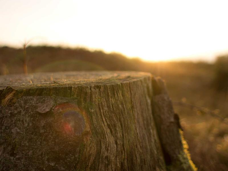 sudoku asymmetric puzzle screenshot 3